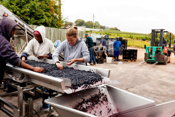 Catherine-Marshall-Wines-162 Catherine-Marshall-Wines-162