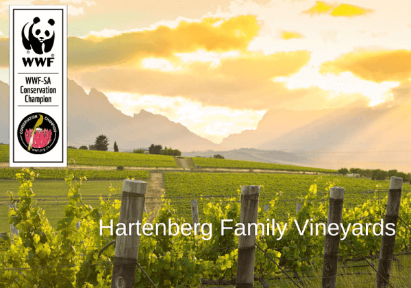 conservation-champion-hartenberg-family-vineyards_158578 conservation-champion-hartenberg-family-vineyards_158578