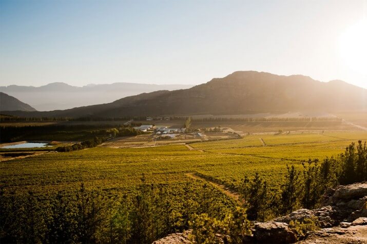 Piekenierskloof Wine Company