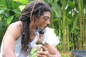Legalize_Dagga Legalize_Dagga