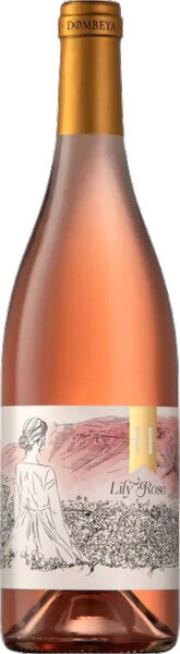 Haskell Dombeya Lily Rose