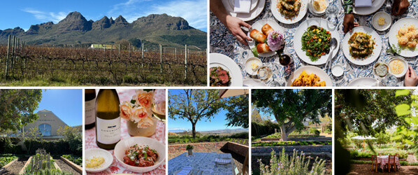 KW24-Collage-1 KW24-Collage-1