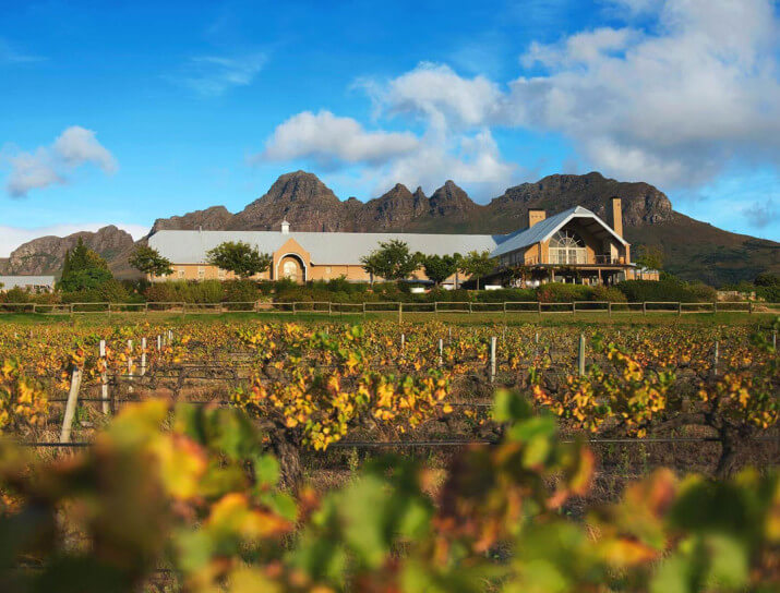 Longridge Wine Estate