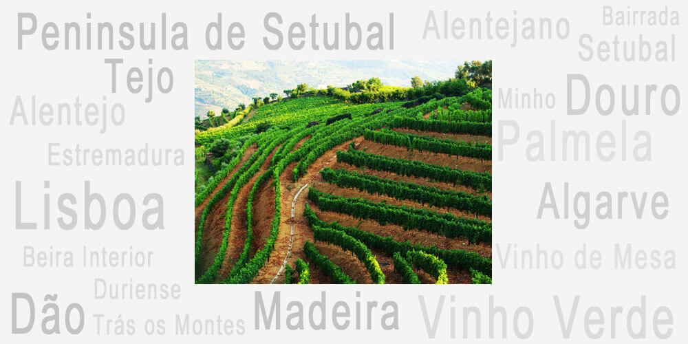 Anbauregionen in Portugal Portugal