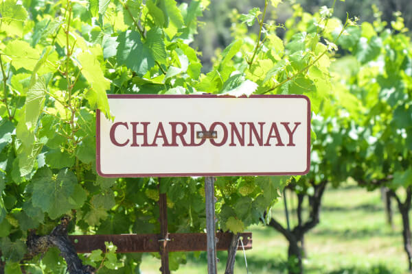 Chardonnay Chardonnay