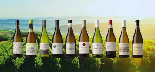 Sauvignon-Blanc-2020 Sauvignon-Blanc-2020