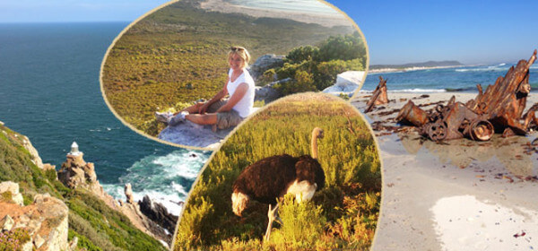 Cape-Point Cape-Point